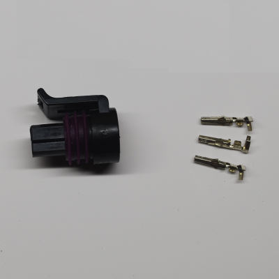 DELPHI PLUG