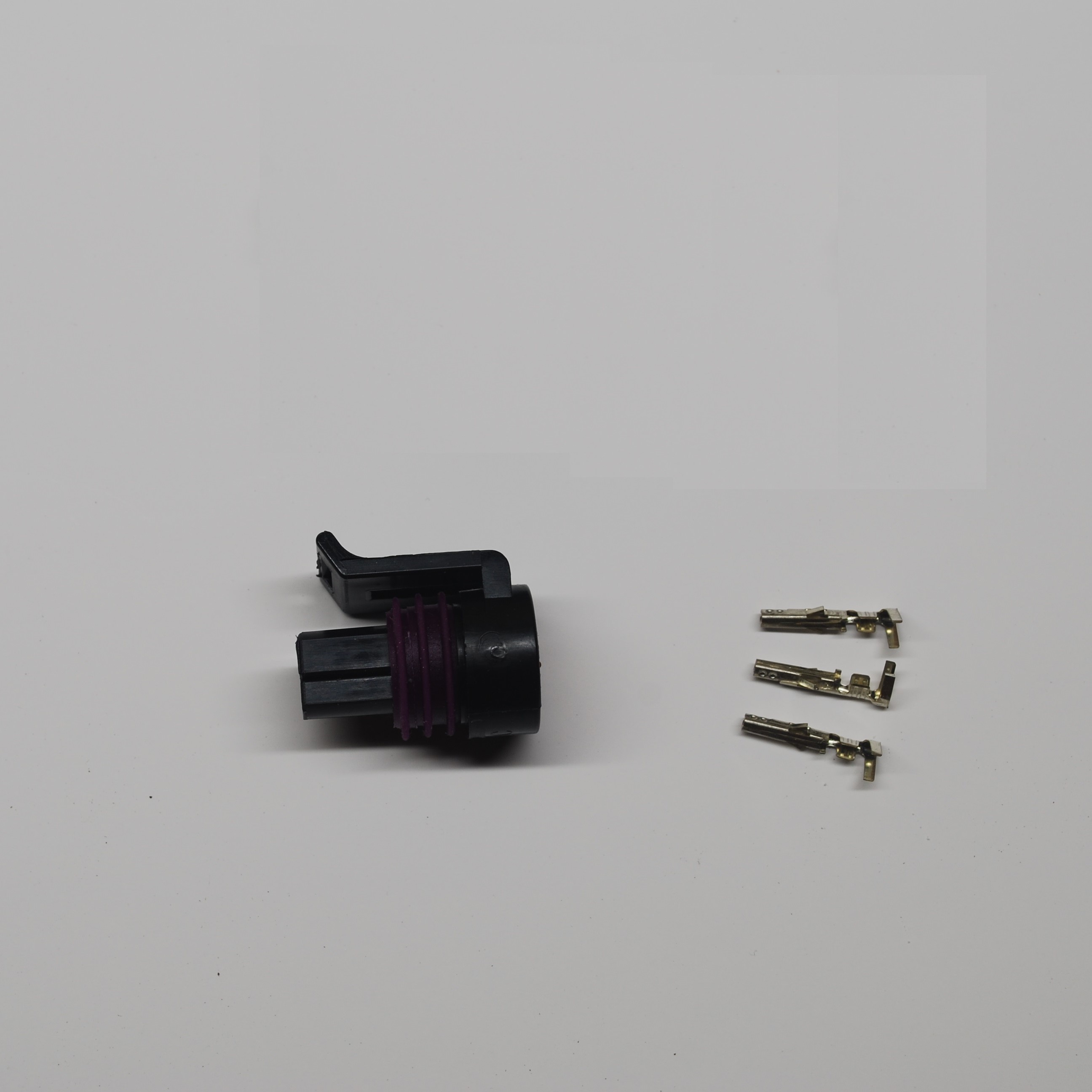 Delphi Plug